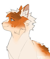 Bust